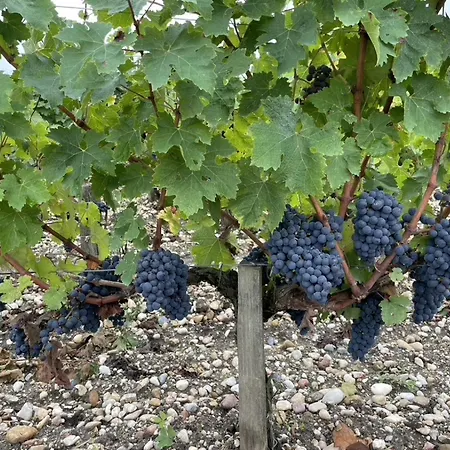 Chateau Papounan Frühstückspension